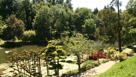 Un jardin japonais est caractérisé par le symbolisme du paysagisme, notamment la circulation de l’eau qui incarne la vie de l’Homme.©LKP